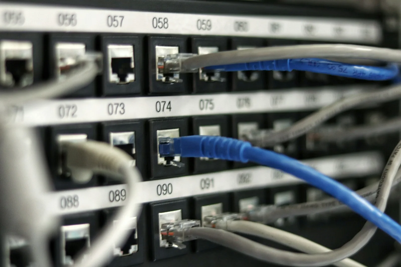 Blue and grey Ethernet cables plugged into a network patch panel